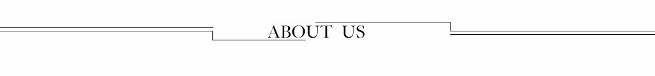 6.ABOUT US-5