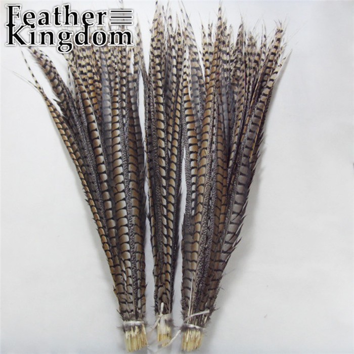Lady Amherst Pheasant Tail Feather 20