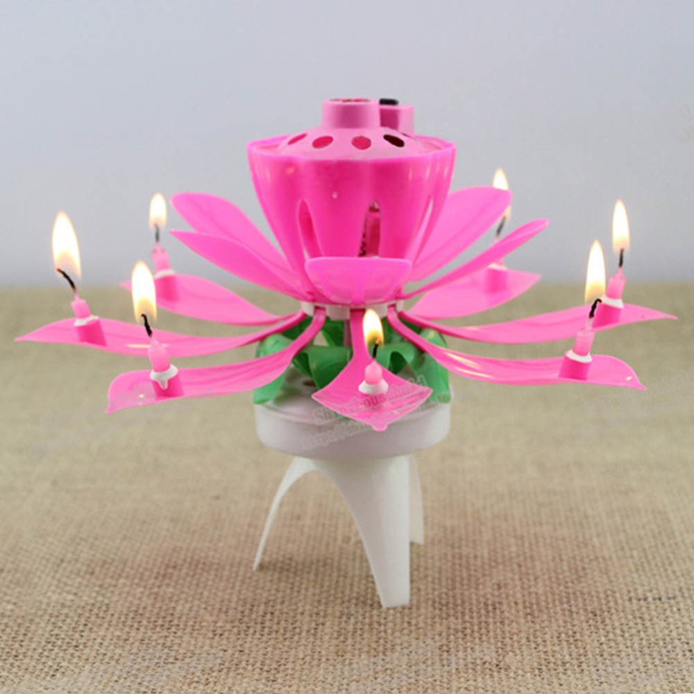 Dutch Musical Birthday Cake Candles Wholesale Auto Flowering Lotus