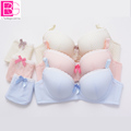 Young Women s B CUP Seamless Bra Brief Sets Girls Students Comfortable Breathable Underwear Thin Bra