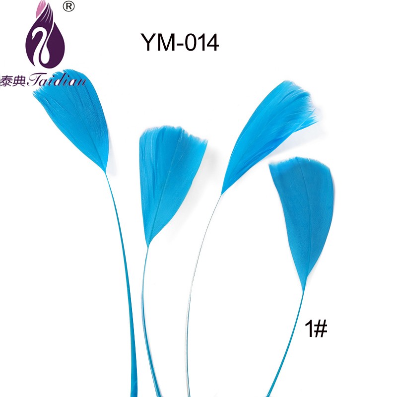 blue pheasant goose feather ym-014-1# NATURAL