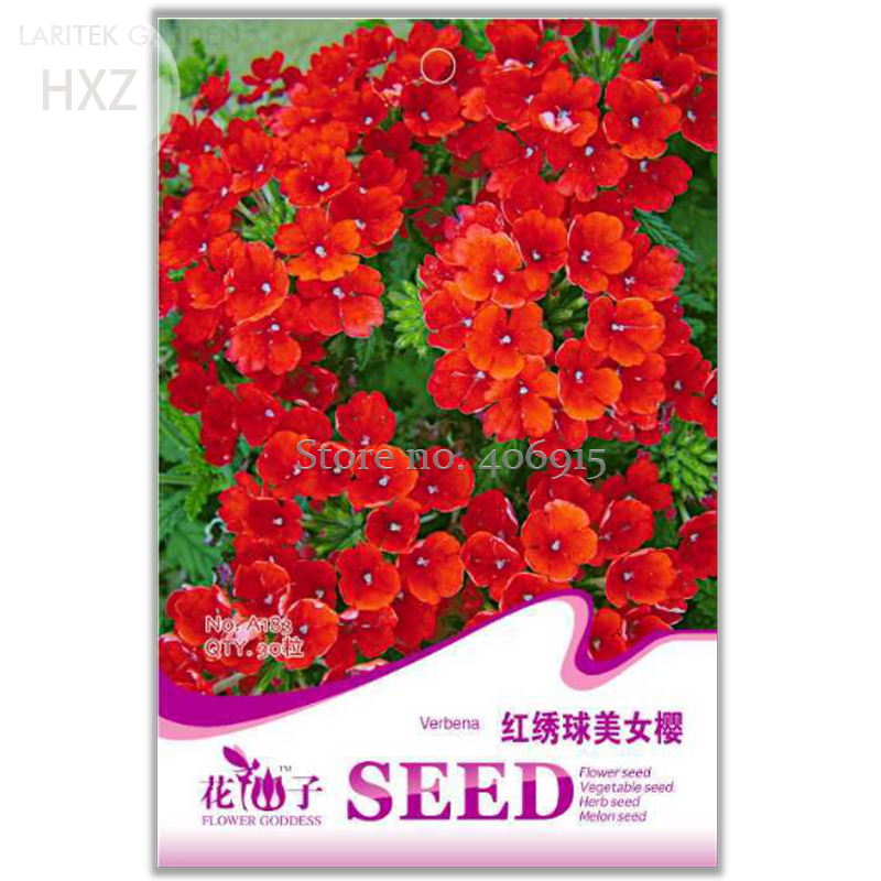 Red Hydrangea Verbena seeds, Original Package, 30 seeds, high quality flowers ornamental value A183