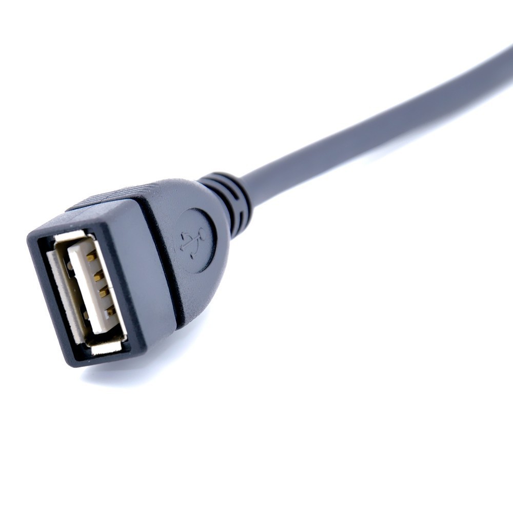 ami usb cable (1)