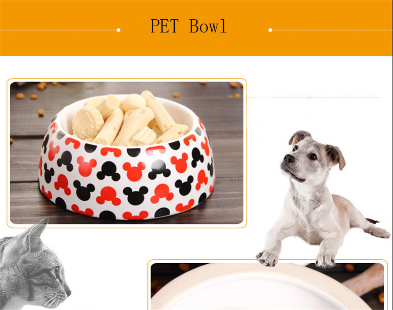 bowl pet 06