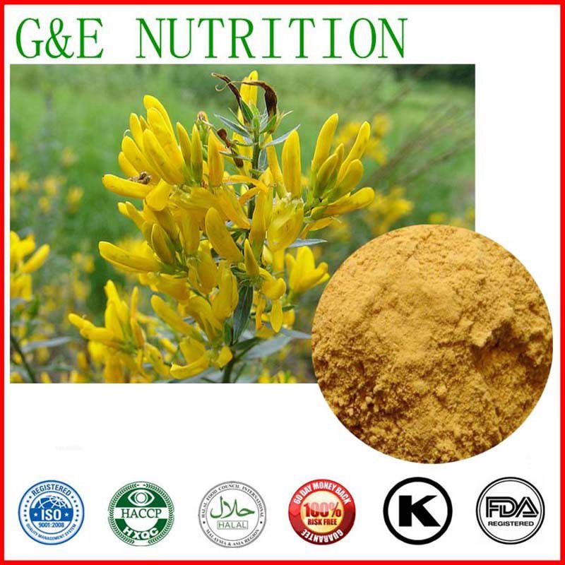 Giant Knotweed Extract powder 200g  10:1