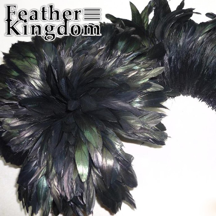 Black rooster feathers 700