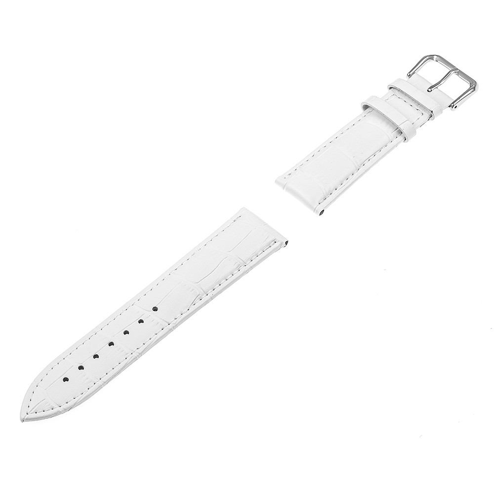 PP31W 2