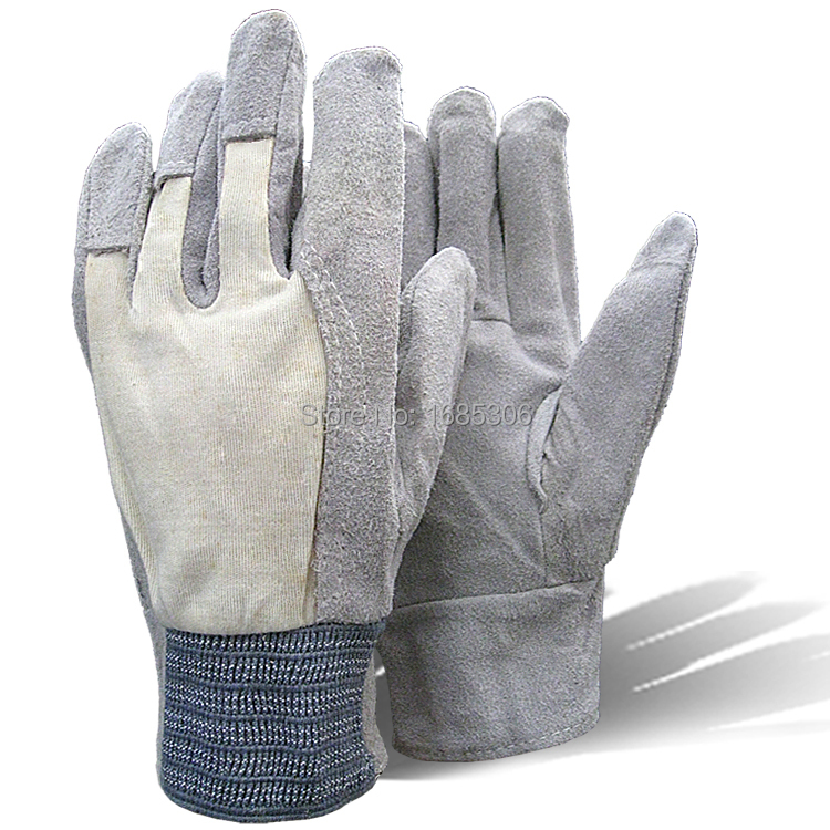 gloves at dollar general