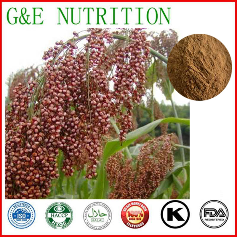 600g Pure Sorghum bicolor/ Broomcorn Extractwith free shipping