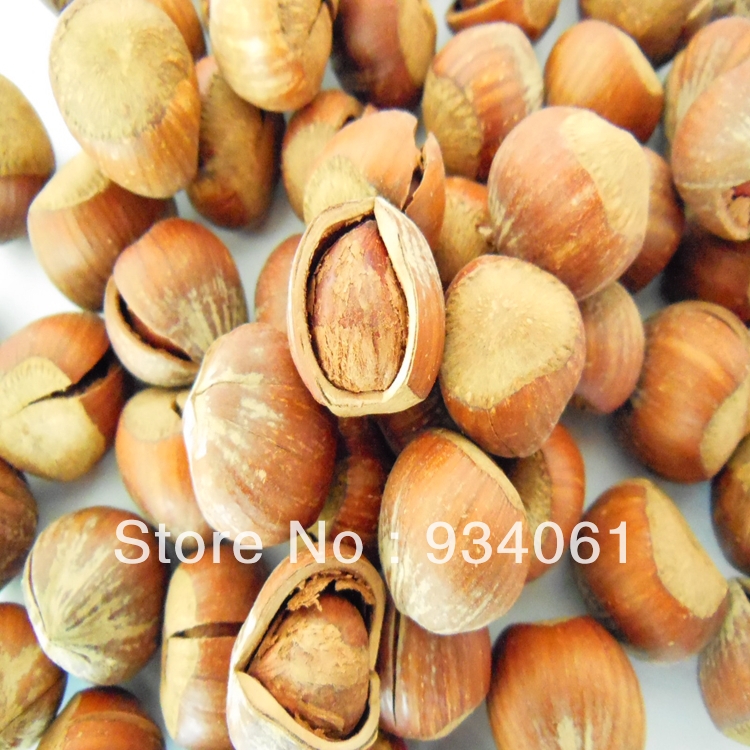 Free shipping China open big hazel nuts food wholesale holiday snacks