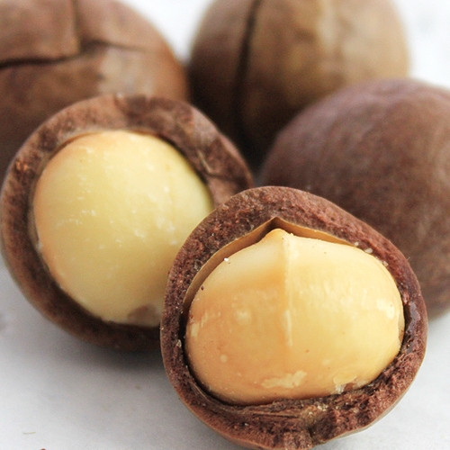 Creamy Macadamia nuts Australia specialty casual snacks 500g dried