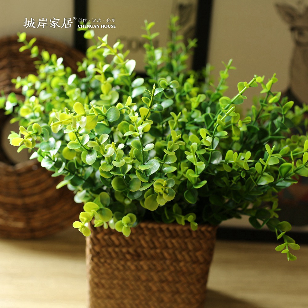 Online get cheap plastic planten groothandel aliexpress.com ...