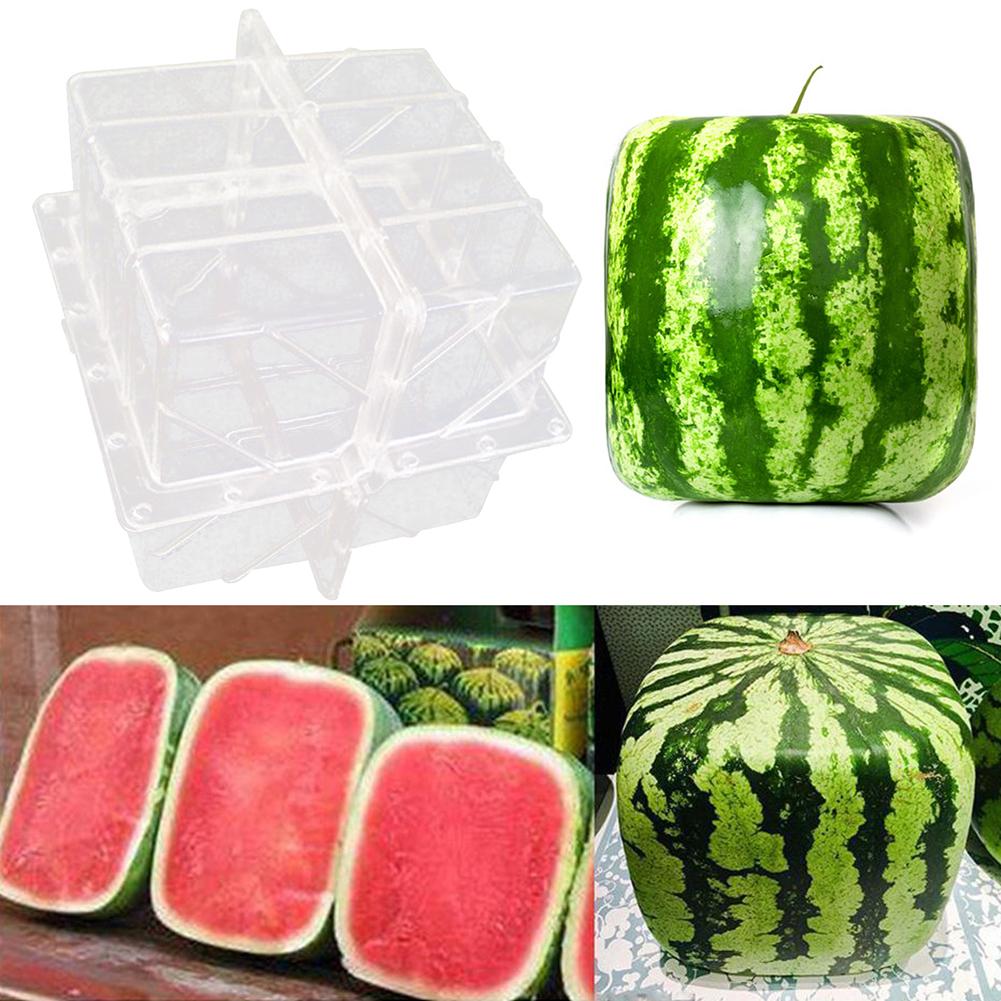 Kunststoff Klares Herz Quadrat Wassermelone Wachsende Form Transparente Fru L1T9 