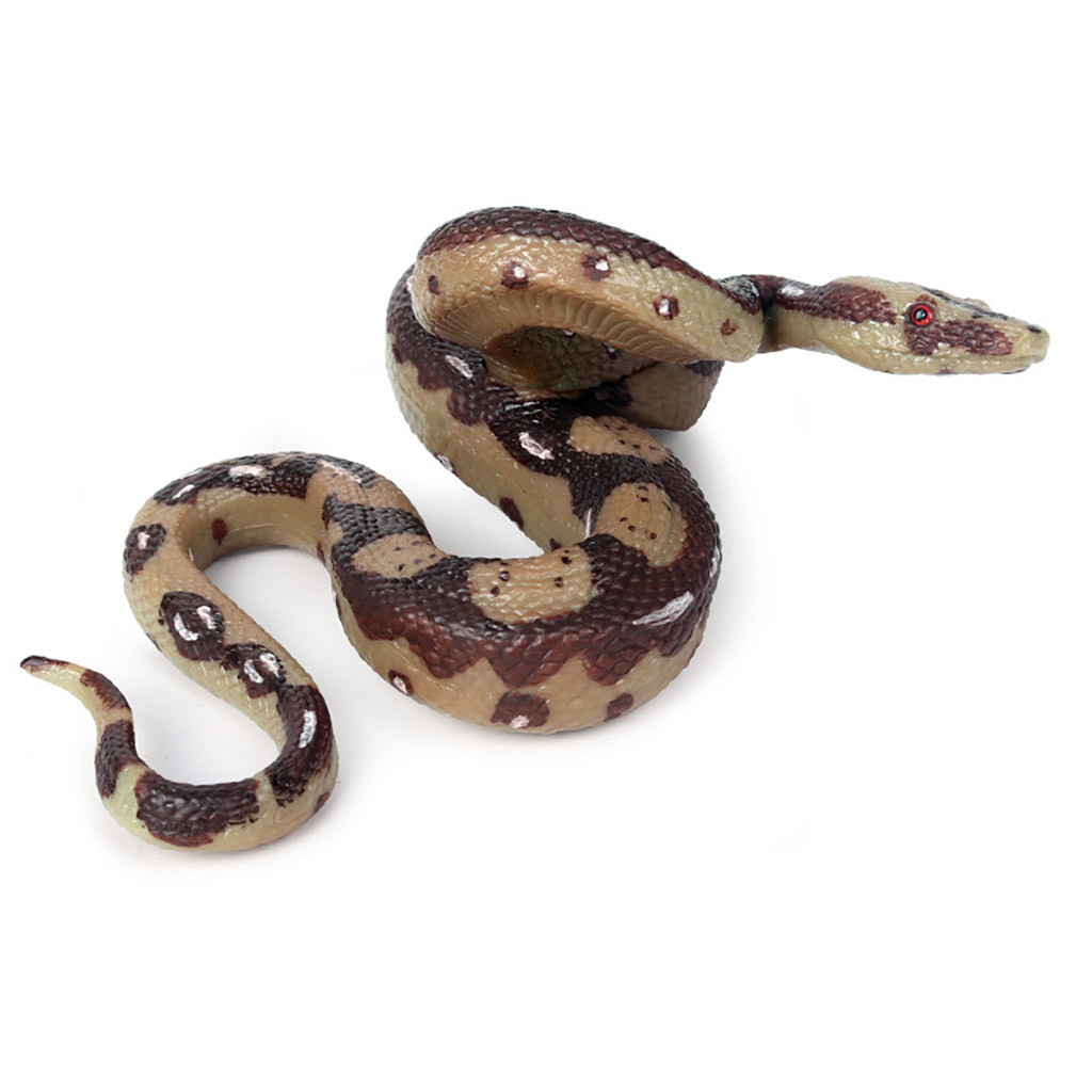  Discover the Best Pet Snakes for Sale: Your Ultimate Guide to Choosing the Perfect Serpent Companion