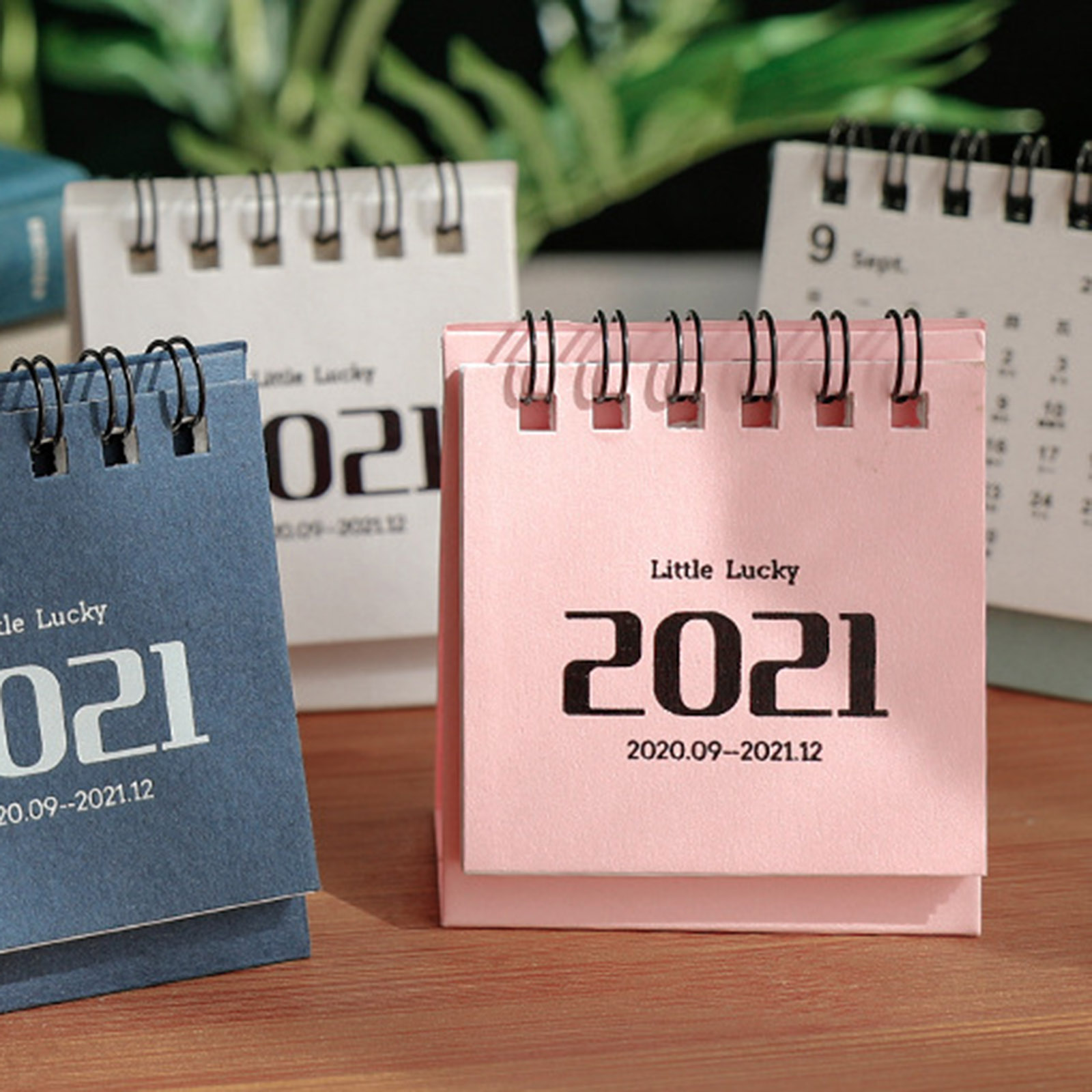 2021 Mini Desk Calendar Daily Schedule Planner Table Yearly Agenda Organizer