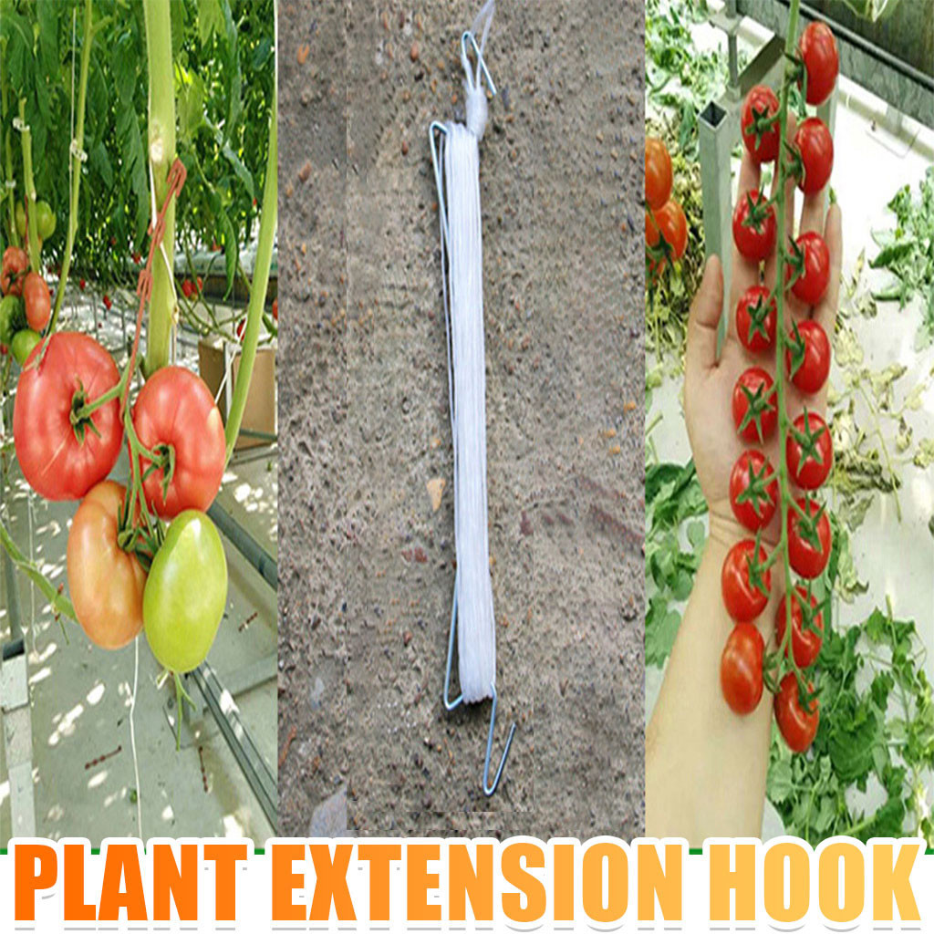 Pepper 10 per order Details about   Double tomato hook for Tomato clips Vine Vegetable Tomato 