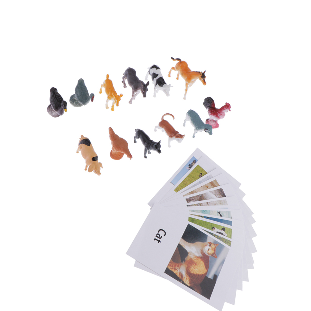 12 Pieces Miniature Poultry Montessori Animal Match Cards and Figurines 