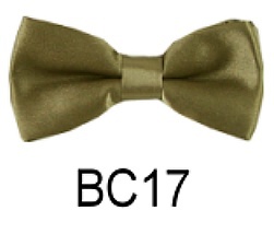 BC17.jpg